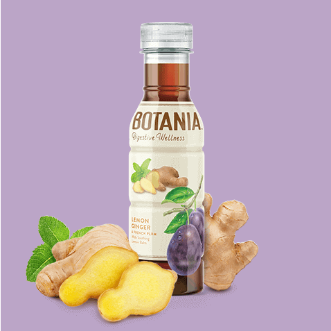 Lemon Ginger